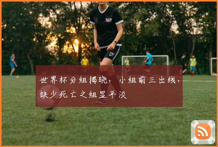 世界杯分组揭晓，小组前三出线，缺少死亡之组显平淡