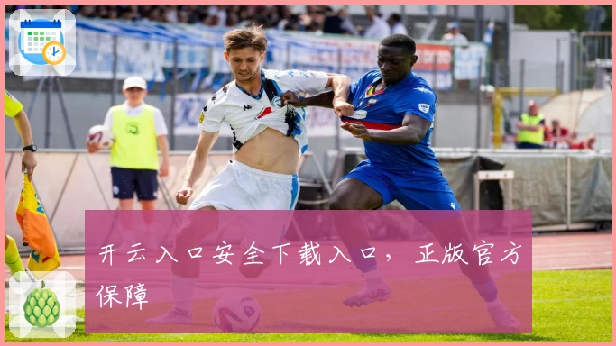 开云入口安全下载入口，正版官方保障