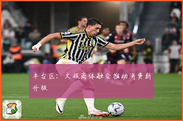 丰台区：文旅商体融合推动消费新升级