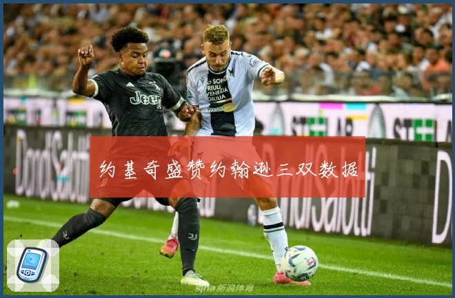 约基奇盛赞约翰逊三双数据