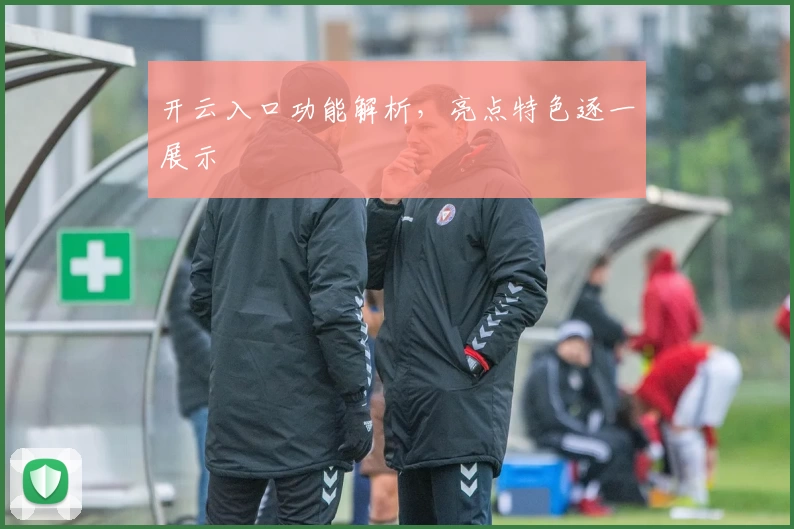 开云入口功能解析，亮点特色逐一展示