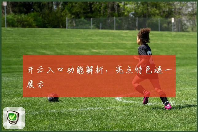 开云入口功能解析，亮点特色逐一展示